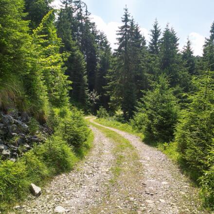 Wanderwerg in St. Koloman