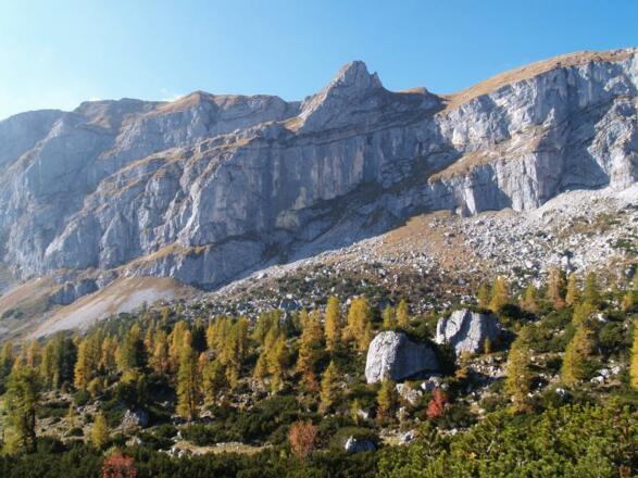 Rofangebirge