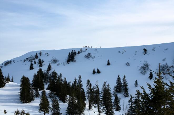 Wandern auf der Niedere