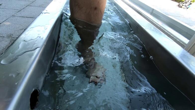 Buchstabenweg Jungholz