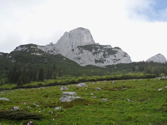Stuhlalm/Gosaukamm