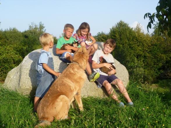 Kinder