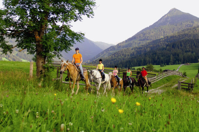Reiten
