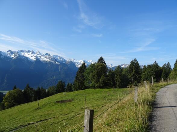Auf dem Güterweg Richtung Alpe Els