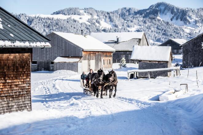 Pferdeschlittenfahrt in Schetteregg