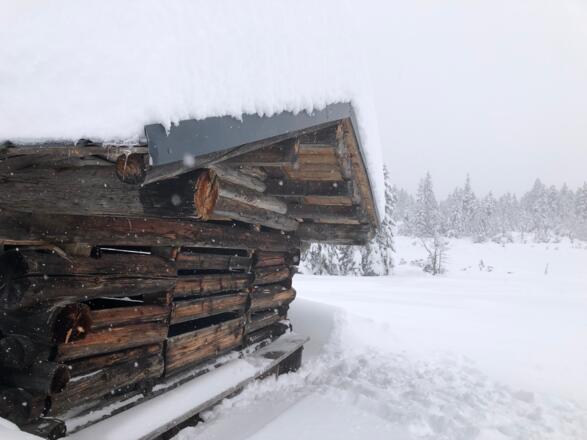 Winterwandern am Hörnlepass - Stall