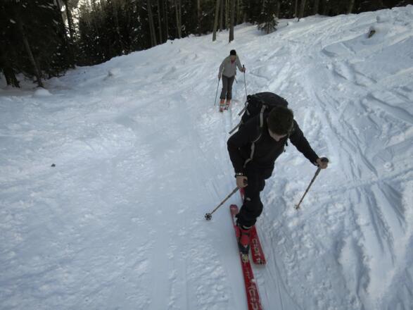 Da diese Waldschneise für mehrere Tourenziele genützt wird, sind pistenähnliche Verhältnisse nicht selten.