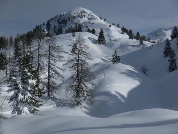 Westrücken zum Schwarzkogel Vorgipfel