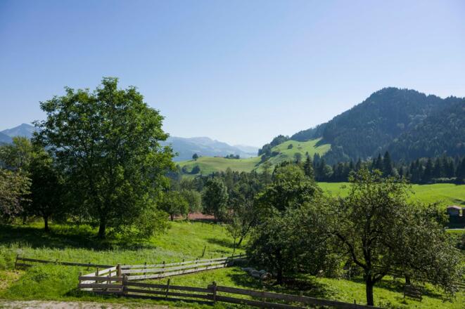 wunderschöne Aussicht