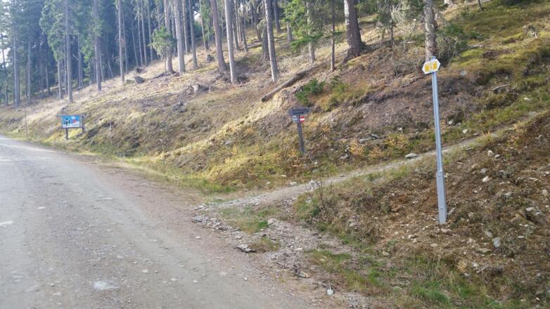 Abzweigung Waldsteig