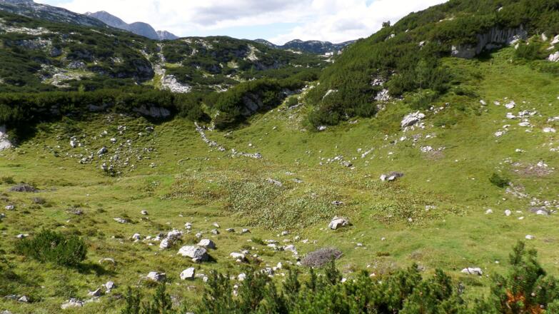 Hirzkaralm