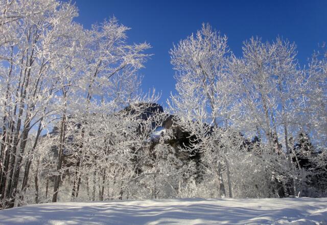 Winterlandschaft Reuthe