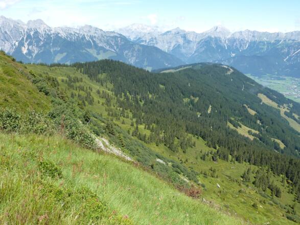 Blick vom Kamm hinunter zum Alpenrosenweg