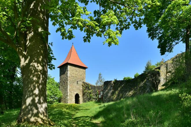 Burgruine Wiedersberg