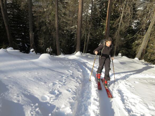Wir erreichen eine große Lichtung ...