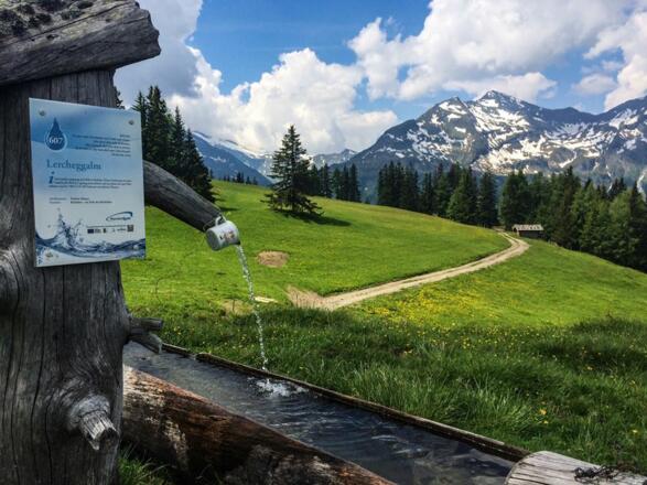 Brunnen bei der Lercheggalm