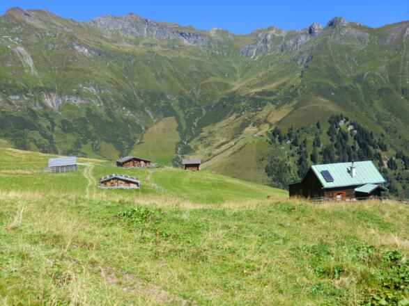 Die Gedauner Hochalmen