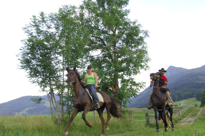 Reiten über Wiesen