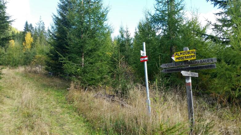 leicht ansteigender Steig