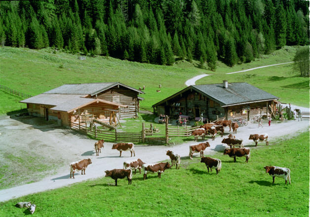 Palfneralm