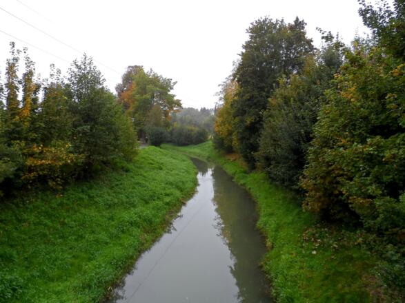 Ipfbach