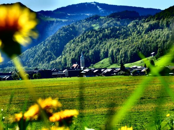 Blick vom Damm Richtung Bezau