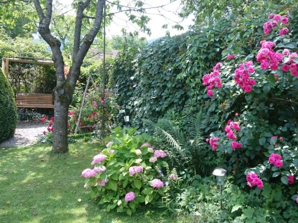 Unser blühender Garten