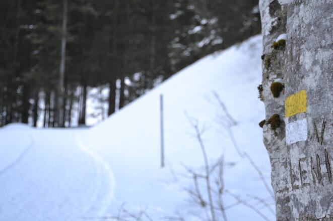 Immer der Wegmarkierung nach