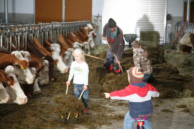 Im Stall dürfen die Kinder mithelfen