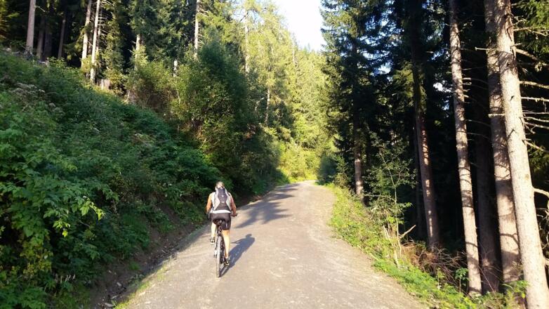 Forstraße steigt ca. 30 min bis auf 1600 m Seehöhe