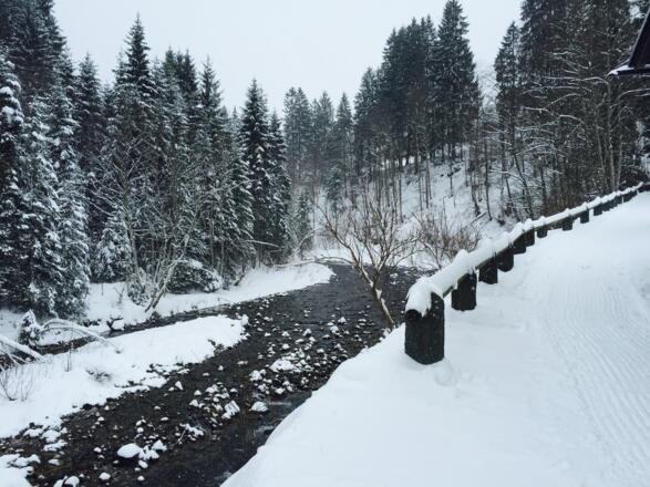 Die Breitach am Leidtobelweg