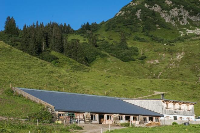 Alpe Hinterüntschen Schoppernau