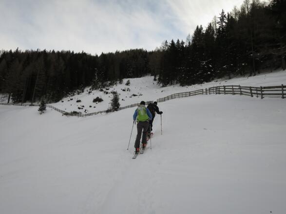 Die Lücke im Zaun leitet uns direkt in die Lichtung, die speziell für Tourengeher frei gehalten wird.