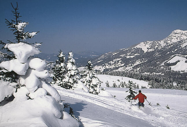 Winterlandschaft