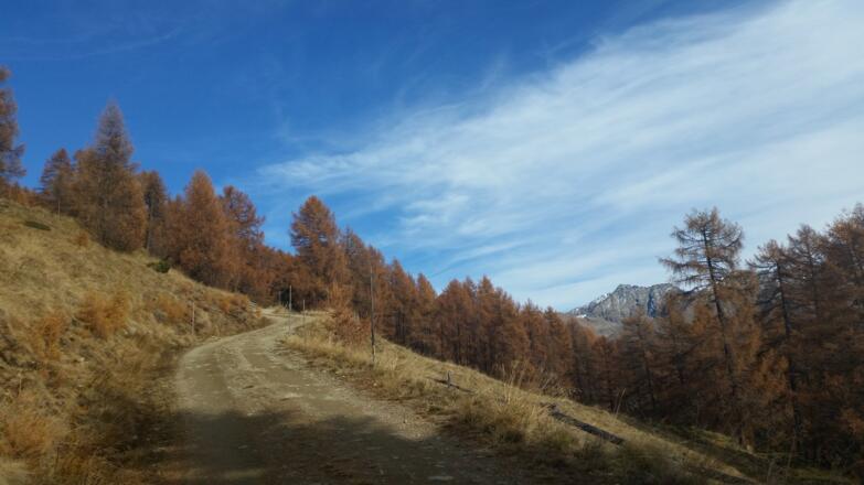 Letzte Meter vor der Wildbachhütte