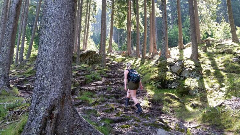 Anstieg neben Wasserfall