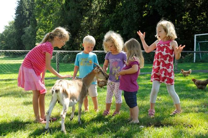 Kleintiergehege Huberhof