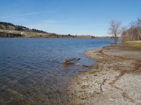 Am Ufer des Grüntensees im Oberallgäu