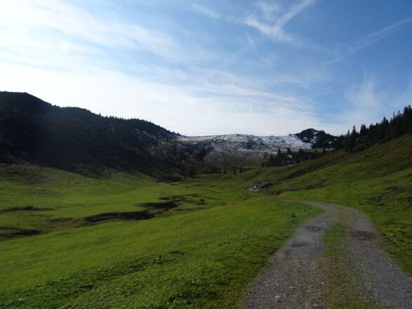 Kurz vor der Alpe Els