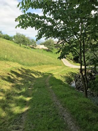 Blick hinunter zur Abzweigung Richtung Wasserfall