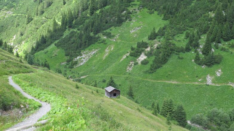 Almwiesen zwischen Warth und Lechleiten