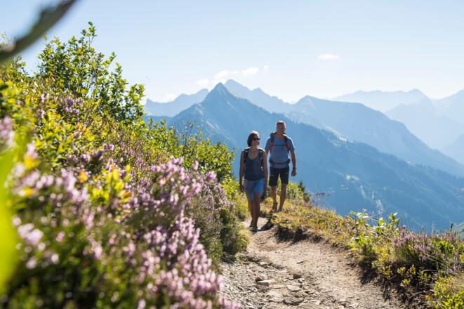 Unterwegs am Blumen-Wanderlehrpfad