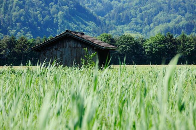 Hütte im Ruggeller Riet