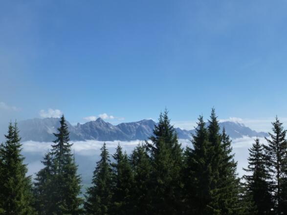 Ausblick vom Alpenrosenweg auf das Nebelverhangene Saalachbecken, das Steinerne Meer und den Hochkönig