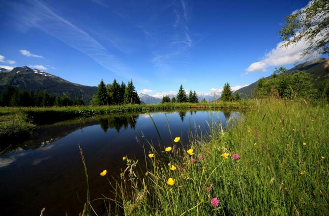 See bei Zustiegsstelle &quot;Stelzer&quot;