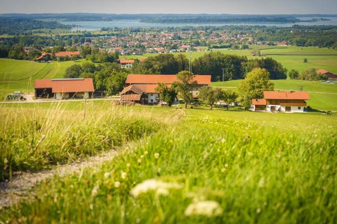Blick vom Hof