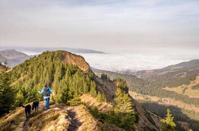 Abstieg von der Hangspitze Mellau