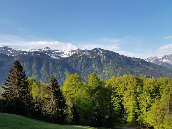 Auf den Gopfberg in Mellau