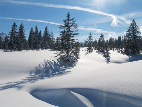 Winterlandschaft Riefensberg