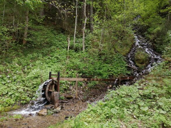 Wasserrad bei der Grillstelle